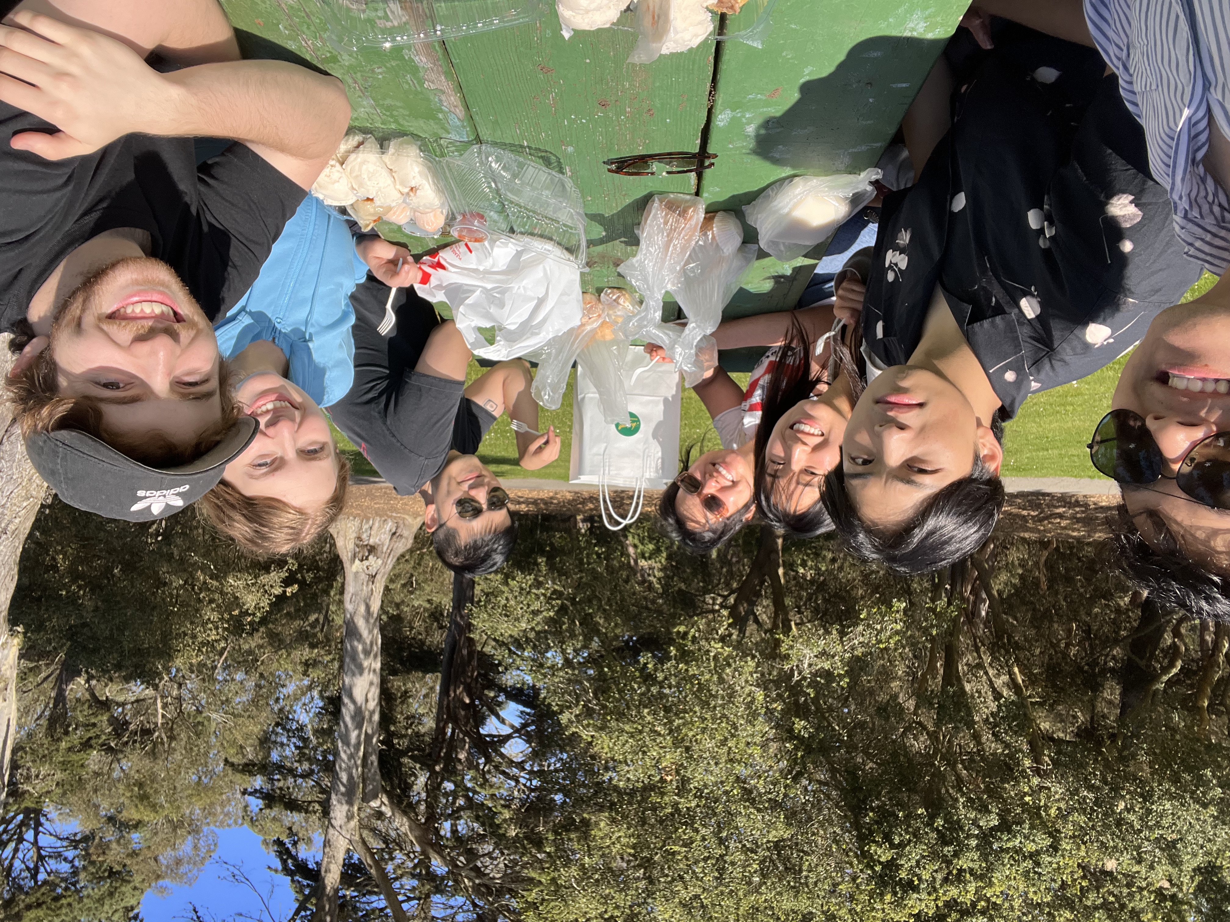 matthew, ivan and emily and friends taking a selfie on a bench in a sunny day in golden gate park